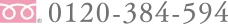 0120-384-594