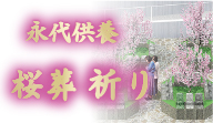 永代供養 桜葬 祈り