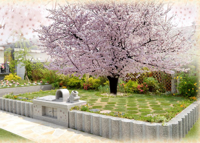 永代供養　樹木葬「桜」