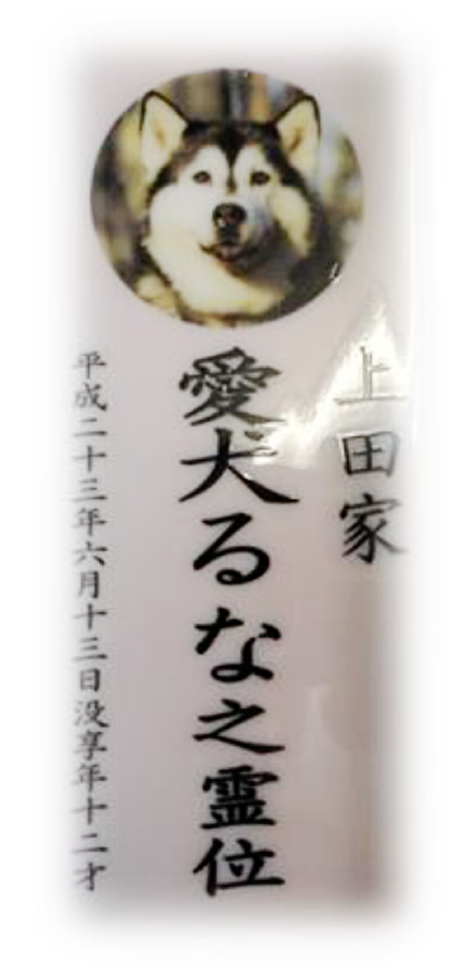 ペットちゃん専用の合祀墓