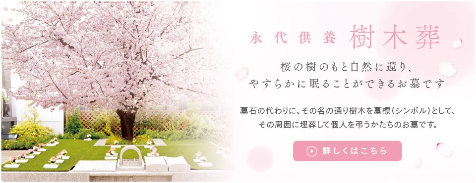 樹木葬