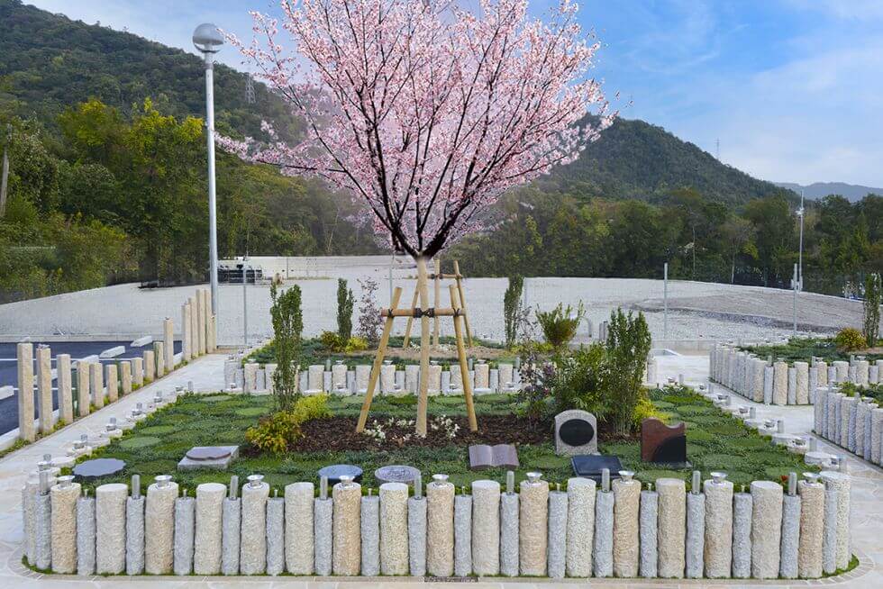 桜の木と小さなフェンスの庭